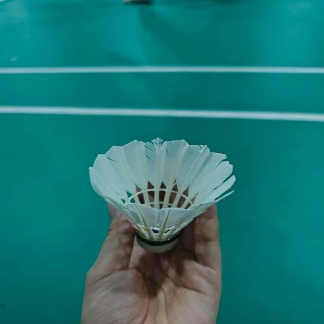 网球红土赛程观察从赛程视角解读第663组动态
